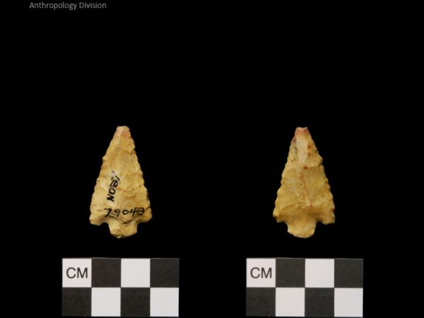 Leon | Mississippian/Post-Archaic Regional