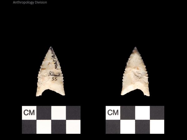 Marianna | Early Dalton (Bullen)/Late Paleoindian (Milanich)