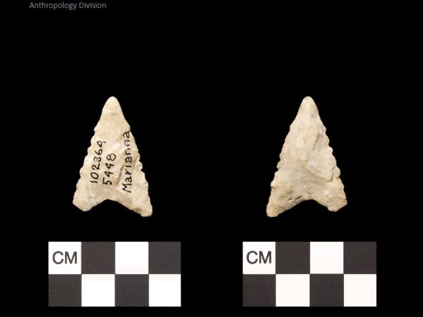 Marianna | Early Dalton (Bullen)/Late Paleoindian (Milanich)