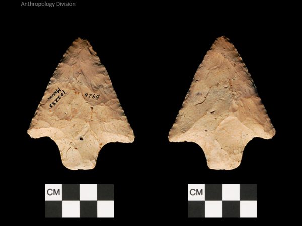 Marion | Late Archaic