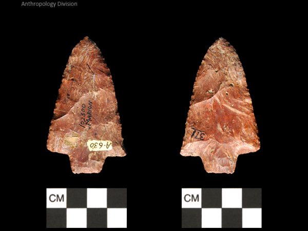 Marion | Late Archaic