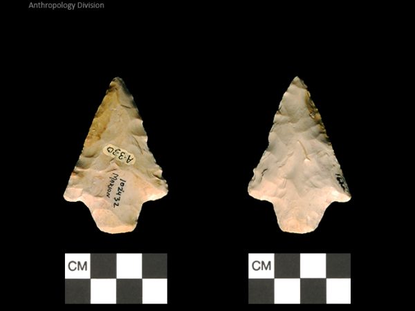 Marion | Late Archaic