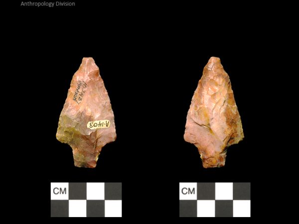 Marion | Late Archaic