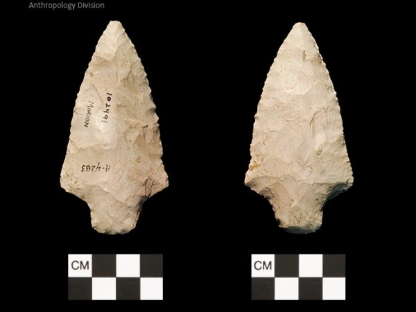 Marion | Late Archaic