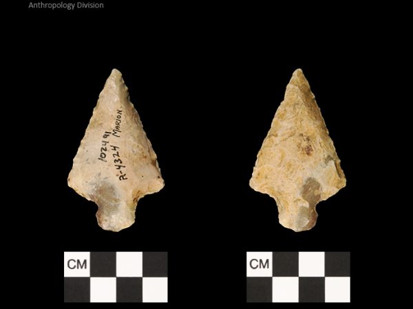 Marion | Late Archaic