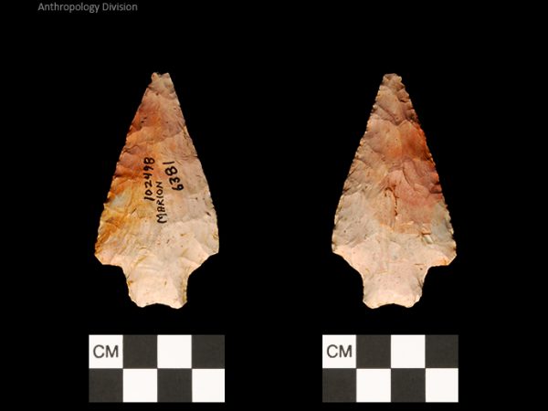 Marion | Late Archaic