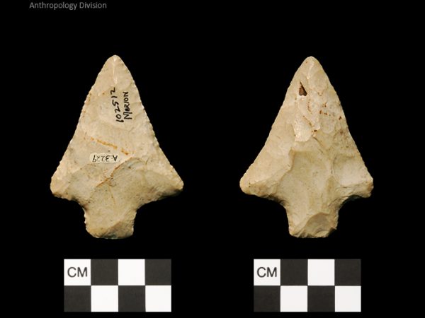 Marion | Late Archaic