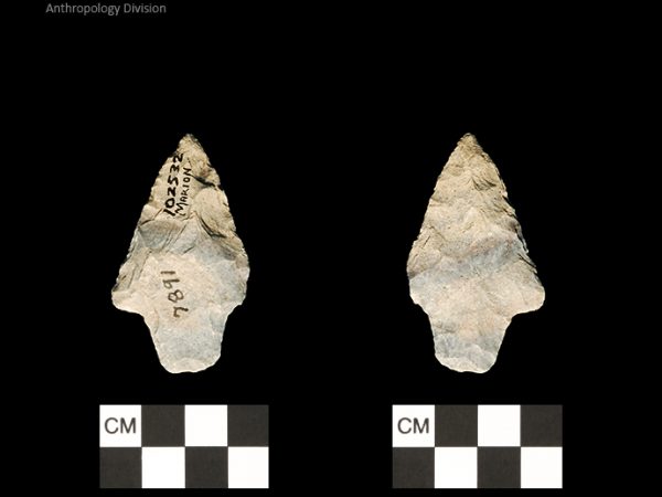 Marion | Late Archaic