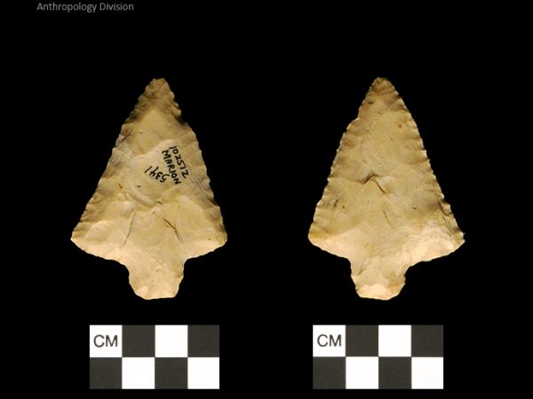 Marion | Late Archaic