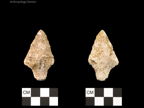 Marion | Late Archaic