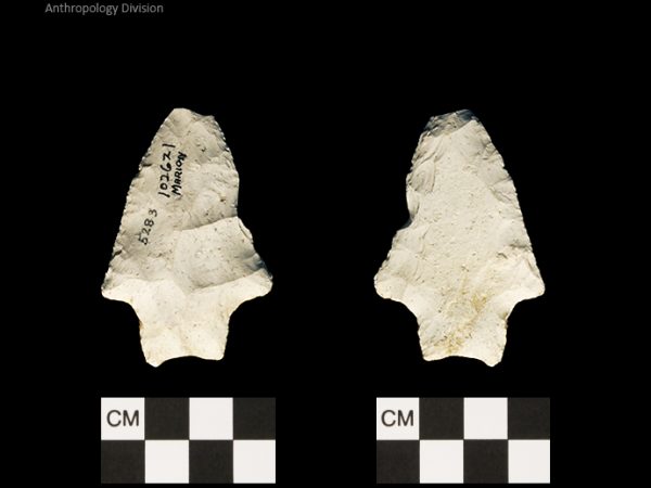 Marion | Late Archaic