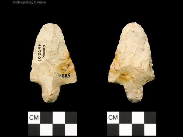 Marion | Late Archaic