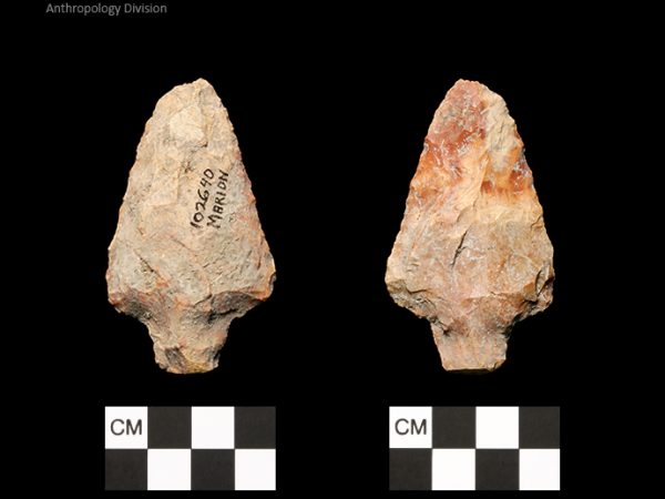 Marion | Late Archaic