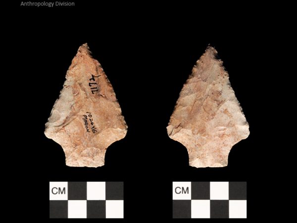 Marion | Late Archaic