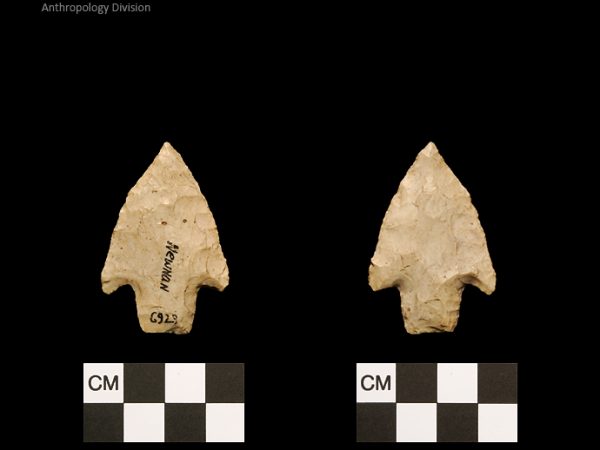 Newnan | Middle Archaic