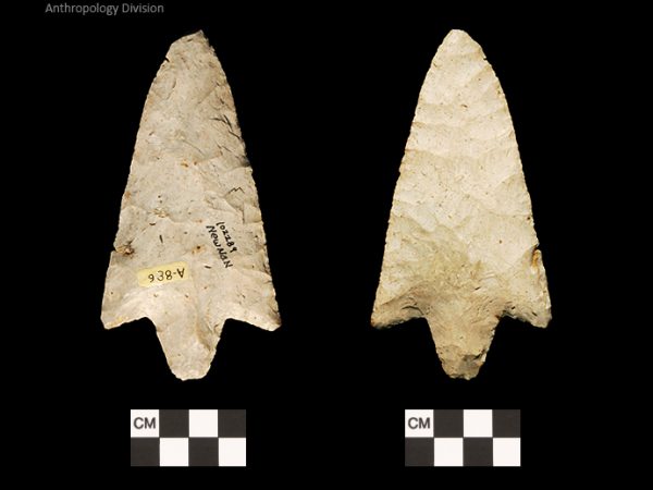 Newnan | Middle Archaic