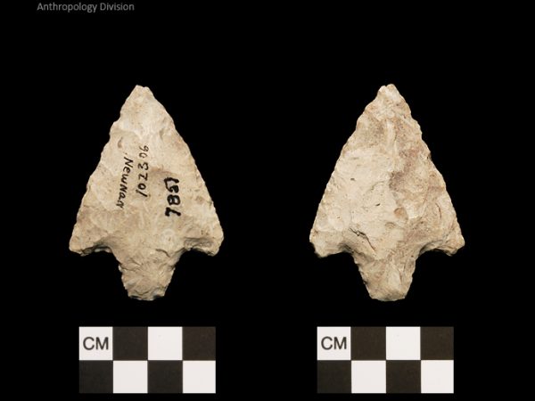 Newnan | Middle Archaic