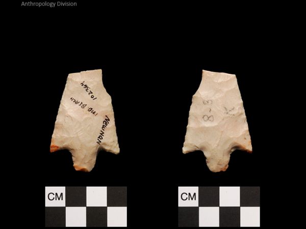 Newnan | Middle Archaic