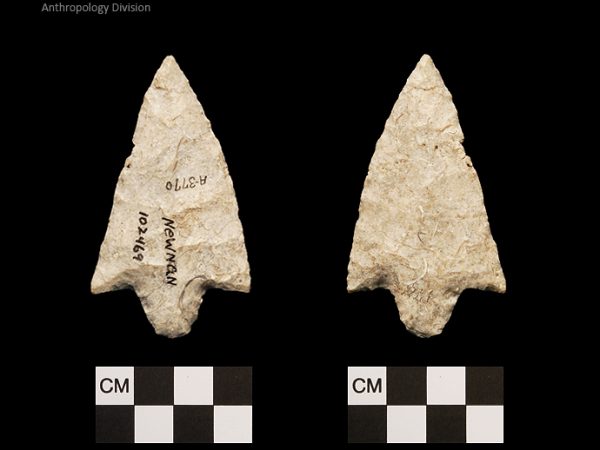 Newnan | Middle Archaic