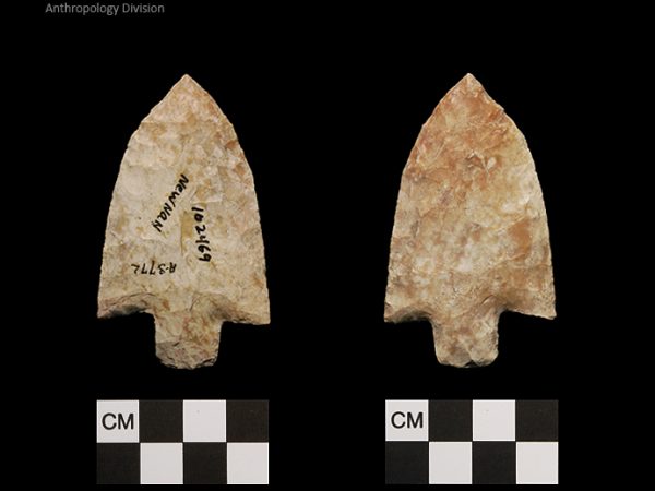 Newnan | Middle Archaic