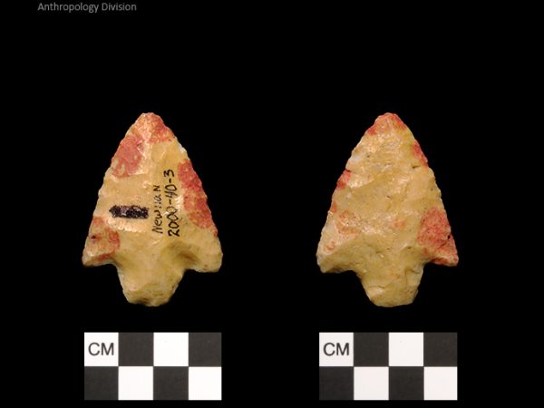 Newnan | Middle Archaic