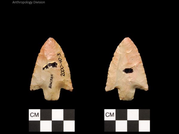 Newnan | Middle Archaic