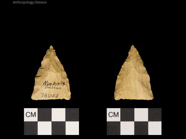 Nuckolls Dalton | Late Dalton (Bullen)/Late Paleoindian (Milanich)