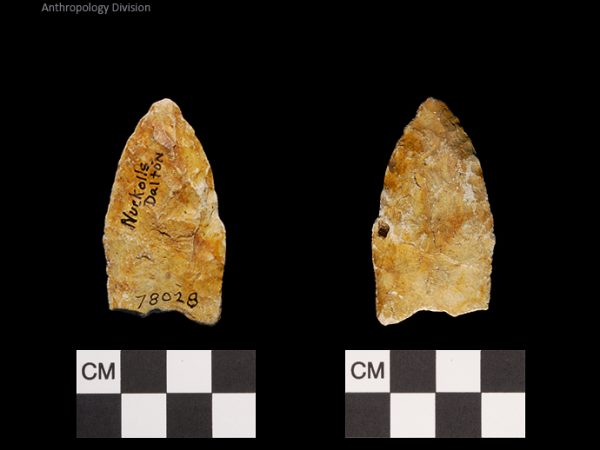 Nuckolls Dalton | Late Dalton (Bullen)/Late Paleoindian (Milanich)