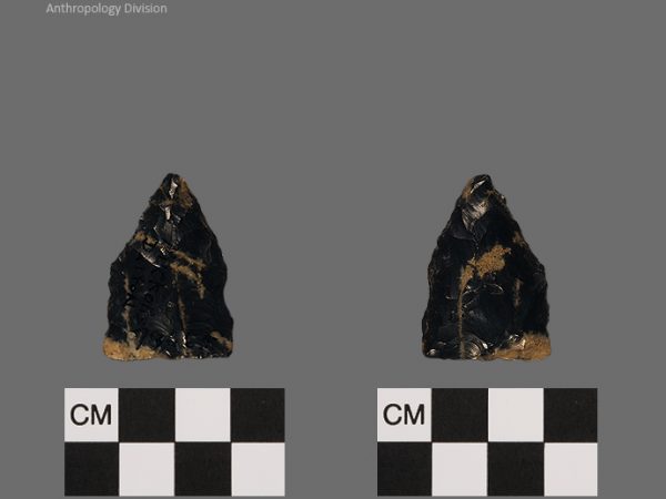 Nuckolls Dalton | Late Dalton (Bullen)/Late Paleoindian (Milanich)