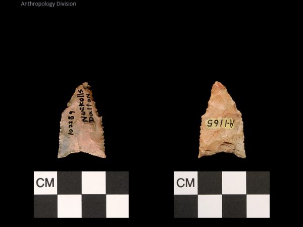 Nuckolls Dalton | Late Dalton (Bullen)/Late Paleoindian (Milanich)