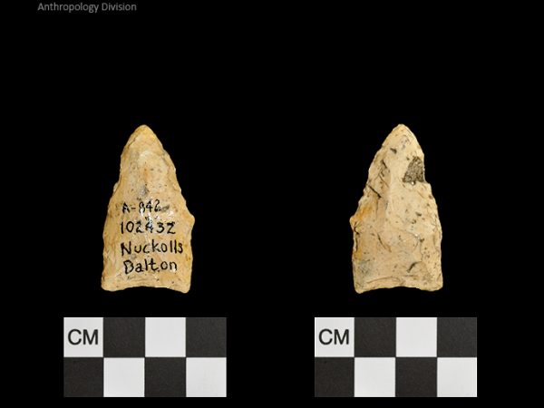 Nuckolls Dalton | Late Dalton (Bullen)/Late Paleoindian (Milanich)