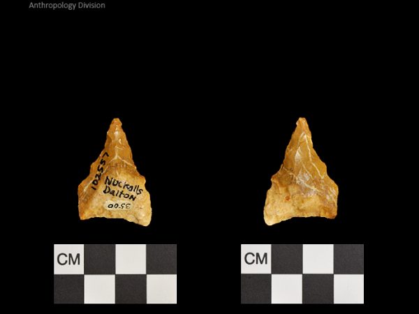 Nuckolls Dalton | Late Dalton (Bullen)/Late Paleoindian (Milanich)