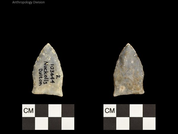 Nuckolls Dalton | Late Dalton (Bullen)/Late Paleoindian (Milanich)