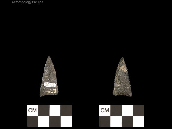 Pinellas | Alachua Tradition to Contact Period