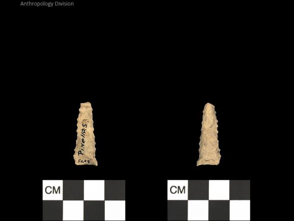 Pinellas | Alachua Tradition to Contact Period