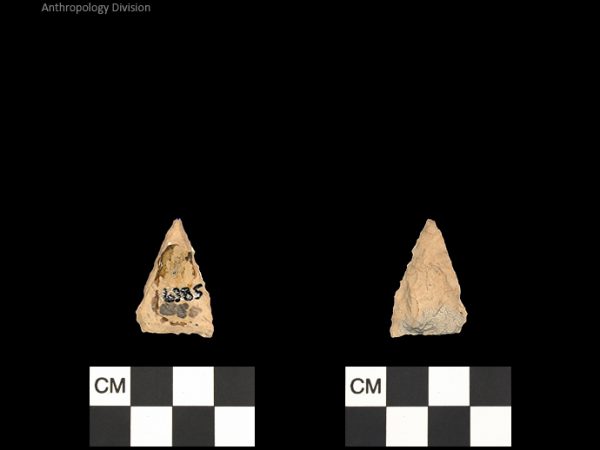 Pinellas | Alachua Tradition to Contact Period