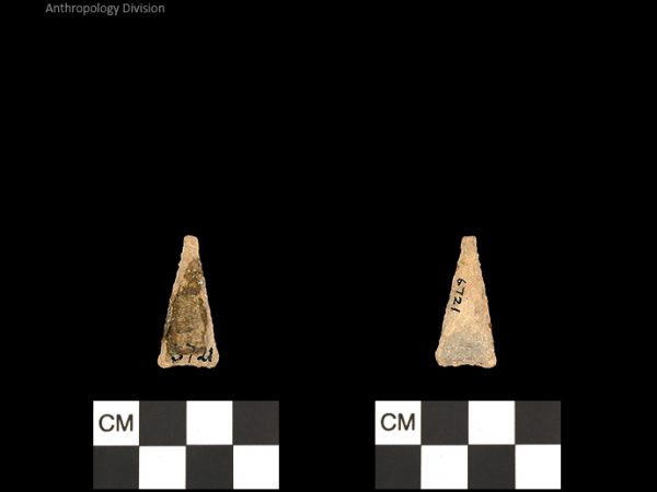 Pinellas | Alachua Tradition to Contact Period