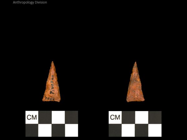 Pinellas | Alachua Tradition to Contact Period