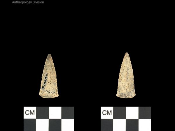 Pinellas | Alachua Tradition to Contact Period