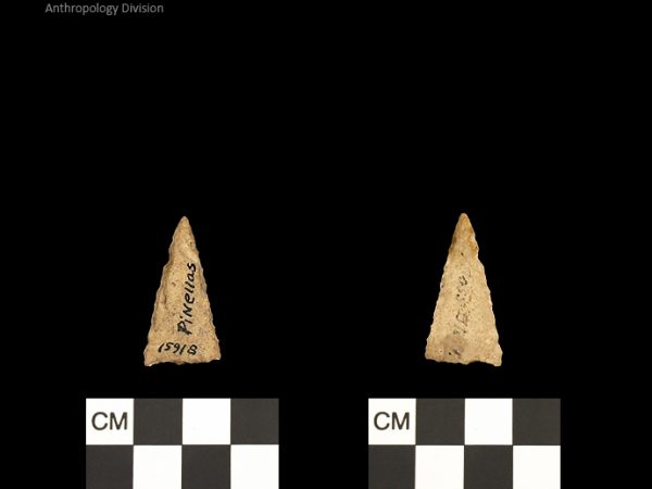 Pinellas | Alachua Tradition to Contact Period