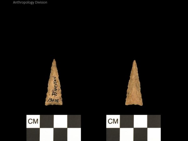 Pinellas | Alachua Tradition to Contact Period