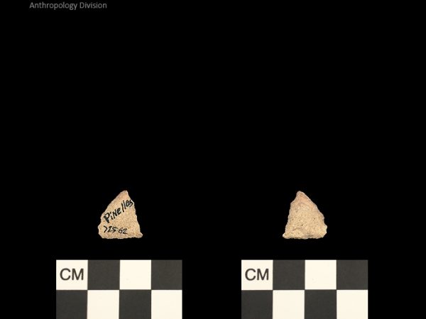 Pinellas | Alachua Tradition to Contact Period