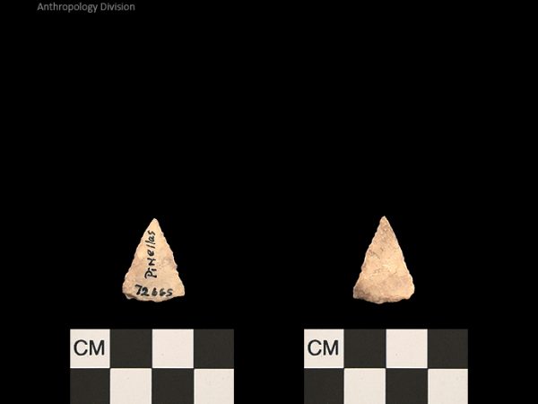 Pinellas | Alachua Tradition to Contact Period