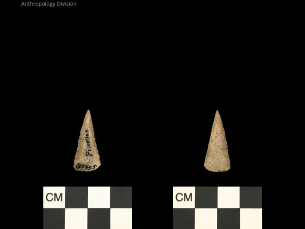 Pinellas | Alachua Tradition to Contact Period