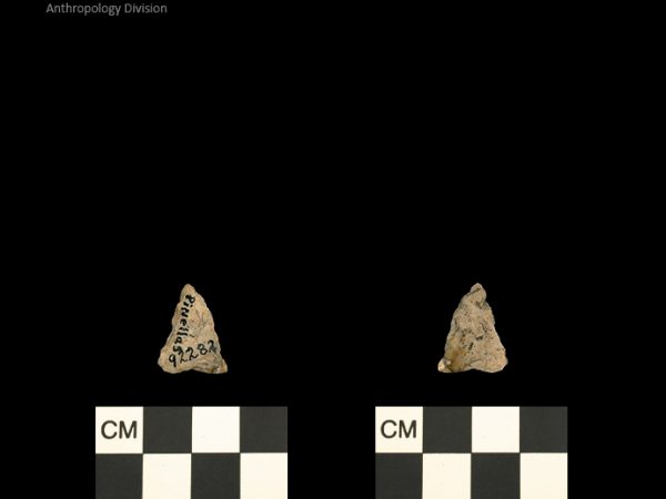 Pinellas | Alachua Tradition to Contact Period