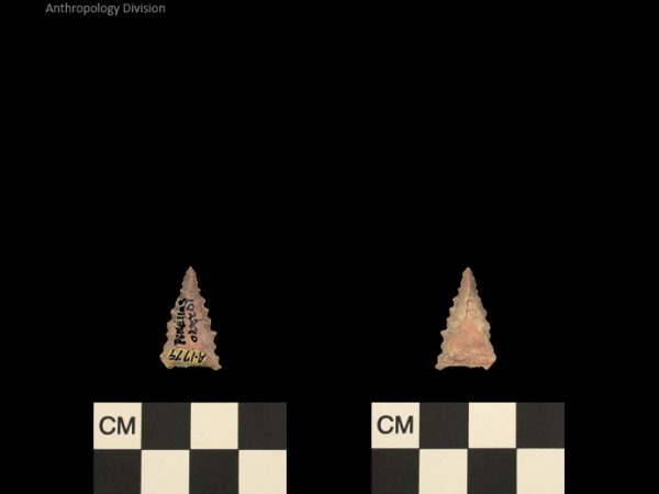 Pinellas | Alachua Tradition to Contact Period