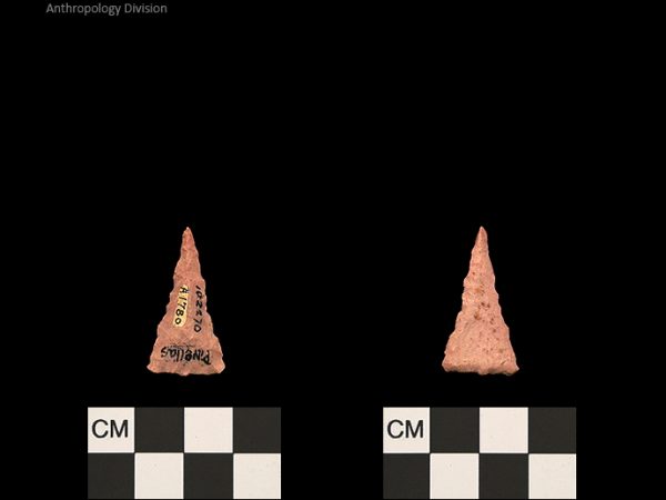 Pinellas | Alachua Tradition to Contact Period