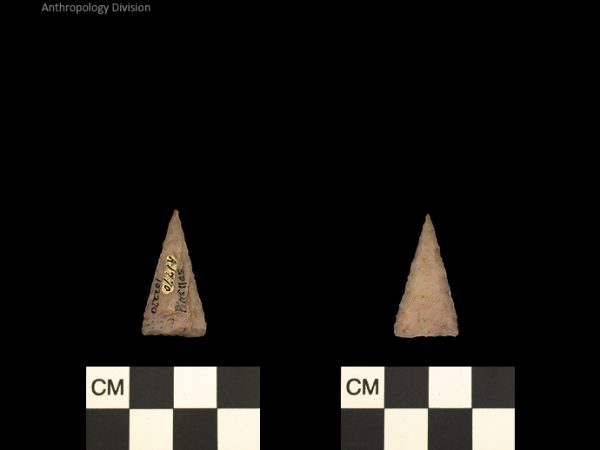 Pinellas | Alachua Tradition to Contact Period