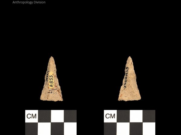 Pinellas | Alachua Tradition to Contact Period