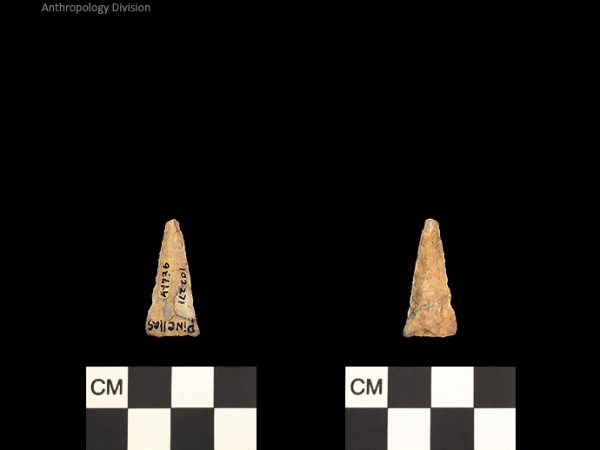 Pinellas | Alachua Tradition to Contact Period